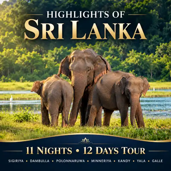 Highlights of Sri Lanka